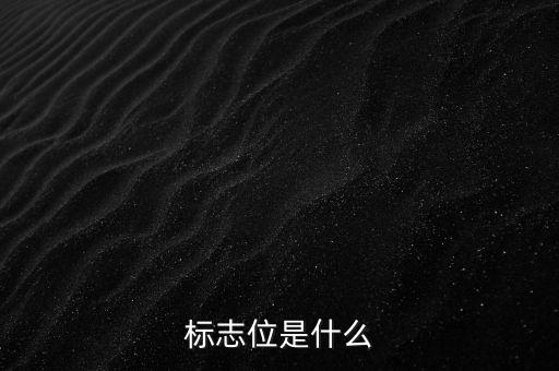 投標(biāo)標(biāo)位是什么意思，投標(biāo)的標(biāo)項(xiàng)是什么