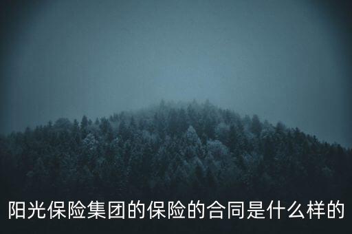 保險(xiǎn)合同是什么樣，買(mǎi)中國(guó)太平保險(xiǎn)的合同書(shū)是什么樣的