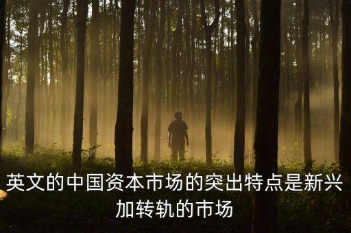 什么是新興加轉(zhuǎn)軌，英文的中國(guó)資本市場(chǎng)的突出特點(diǎn)是新興加轉(zhuǎn)軌的市場(chǎng)