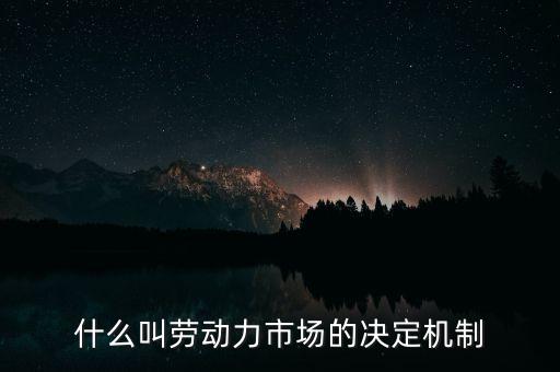 什么叫勞動(dòng)力市場的決定機(jī)制