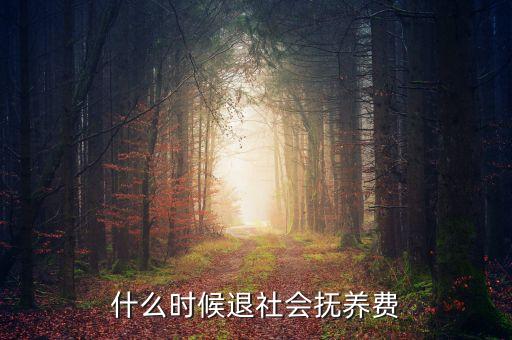 社會撫養(yǎng)費(fèi)什么時候取消，國家何時退社會撫養(yǎng)費(fèi)