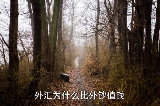 外匯為什么比外鈔值錢(qián)