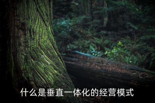 什么是垂直一體化的經(jīng)營模式
