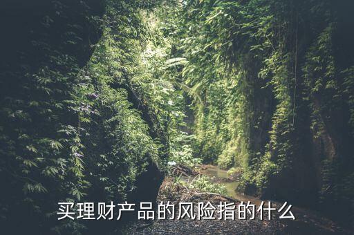 買理財產(chǎn)品的風險指的什么