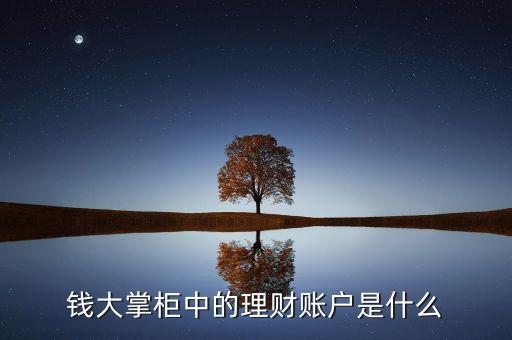 理財(cái)賬戶是什么，理財(cái)賬戶是什么在哪兒理財(cái)會(huì)更為靠譜些