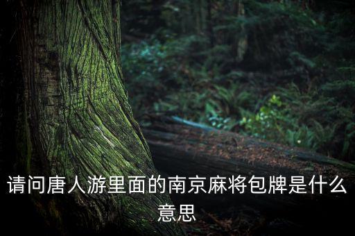 請(qǐng)問唐人游里面的南京麻將包牌是什么意思
