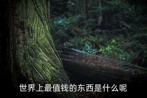 世界上最值錢(qián)的東西是什么呢