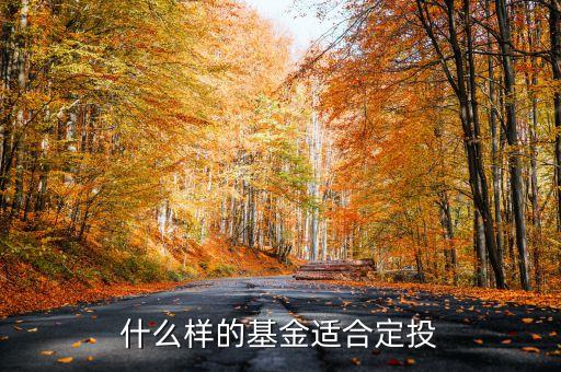 什么類型基金適合定投，什么樣的基金適合定投