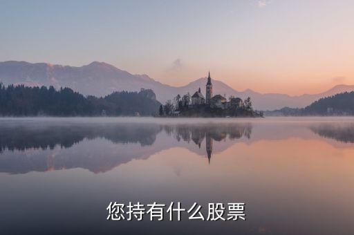樊淑珍持有什么股，香港中央代理人持有哪些股票