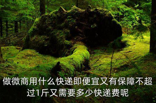 做微商用什么快遞即便宜又有保障不超過1斤又需要多少快遞費(fèi)呢