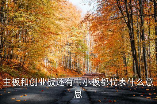 滬市主板是什么意思，什么是主板中小板和創(chuàng)業(yè)板它們都是干什么的請用白話簡短精