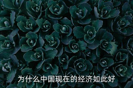 為什么中國(guó)現(xiàn)在的經(jīng)濟(jì)如此好