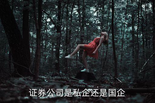 證券公司是私企還是國(guó)企