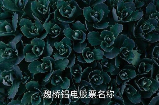 宏橋跟魏橋什么關(guān)系，宏橋中學(xué)怎么退學(xué)費