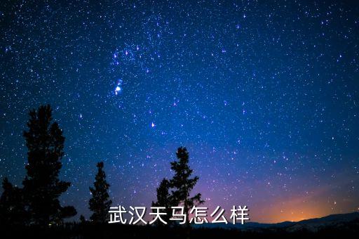 002276公司是做什么的呢，萬(wàn)馬股份是做什么的