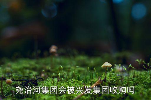 600141并購(gòu)什么資產(chǎn)，堯治河集團(tuán)會(huì)被興發(fā)集團(tuán)收購(gòu)嗎