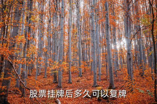 北京銀行股票什么時候復(fù)牌，公告出來了請懂行的解釋一下什么時候可以復(fù)牌