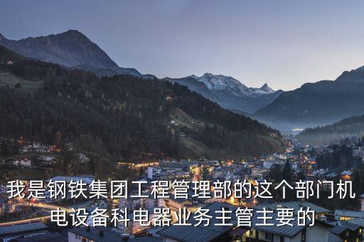 我是鋼鐵集團(tuán)工程管理部的這個(gè)部門機(jī)電設(shè)備科電器業(yè)務(wù)主管主要的