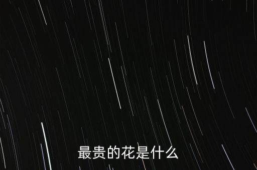 最貴的花是什么