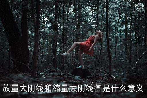 放量大陰線(xiàn)和縮量大陰線(xiàn)各是什么意義