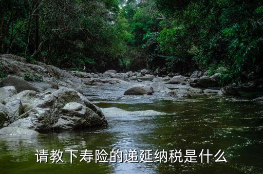 請教下壽險的遞延納稅是什么