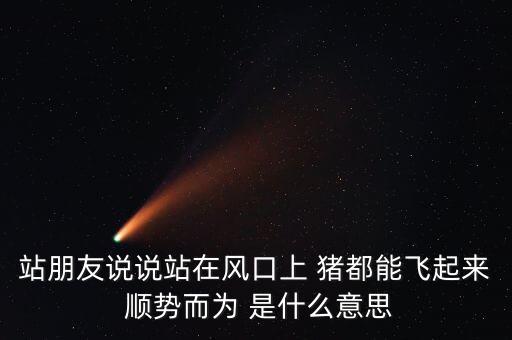 站在風(fēng)口上豬什么寓意，站朋友說說站在風(fēng)口上 豬都能飛起來 順勢而為 是什么意思