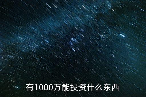 1000萬投資什么好，有1000萬能投資什么東西