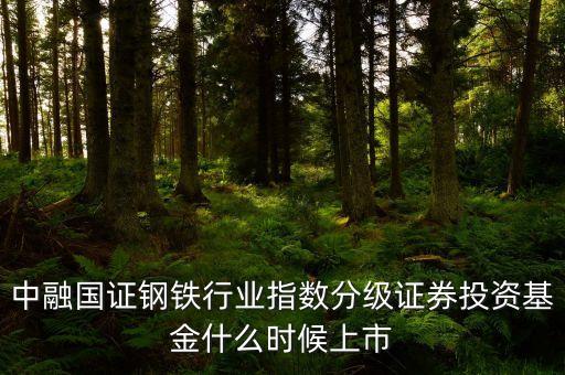 001719基金什么時(shí)候發(fā)行，嘉實(shí)成長(zhǎng)增強(qiáng)001759的發(fā)行期是什么時(shí)候求介紹