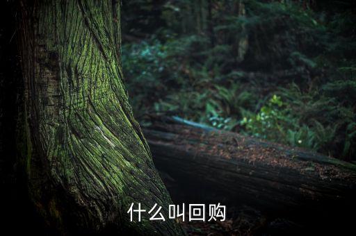 什么叫回購(gòu)
