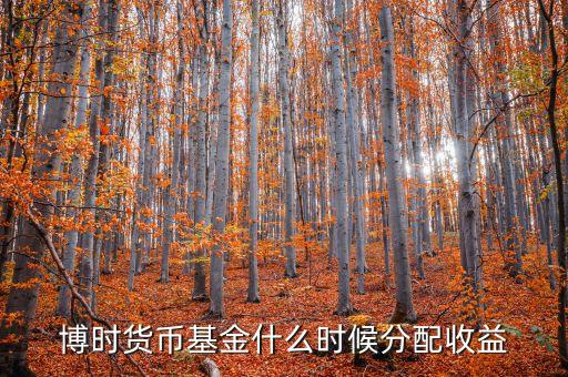 博時(shí)什么時(shí)候分紅，博時(shí)價(jià)值增長二號何時(shí)分過紅