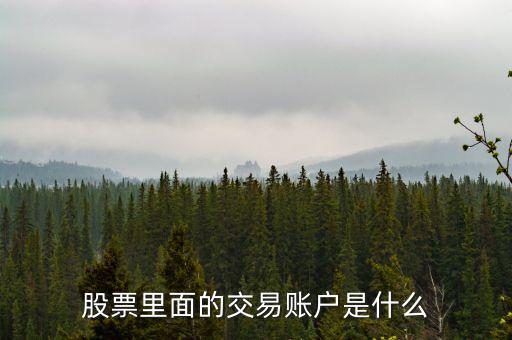 股票賬戶是什么，股票里面的交易賬戶是什么