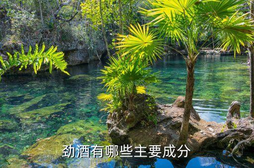 勁酒主要由什么做成的，勁酒是用什么基酒釀造的