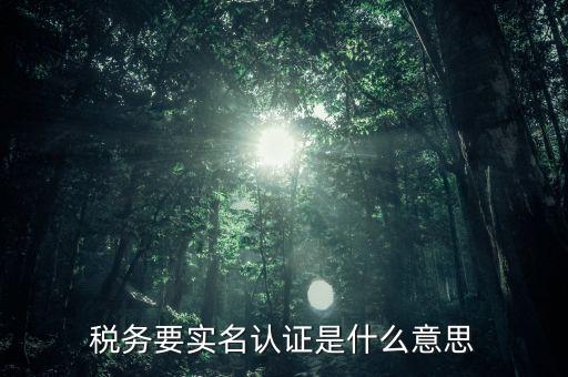 稅務(wù)要實名認證是什么意思