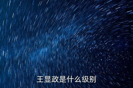 王顯政是什么級別