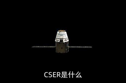 ccer是什么，中債登 是什么