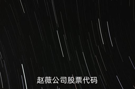 趙薇買的什么股票代碼，范冰冰 趙薇 股票5億買的什么股票