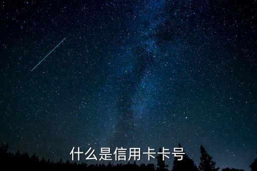 什么是信用卡卡號