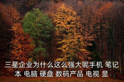 三星企業(yè)為什么這么強(qiáng)大呢手機(jī) 筆記本 電腦 硬盤 數(shù)碼產(chǎn)品 電視 顯