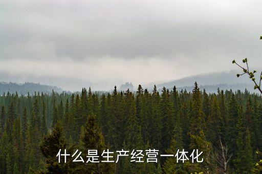 什么是一體化經(jīng)營模式，什么是生產(chǎn)經(jīng)營一體化