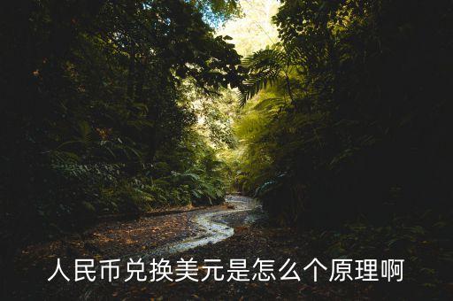 人民幣兌換美元是怎么個(gè)原理啊