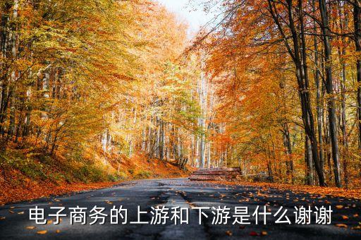 電子商務的上游和下游是什么謝謝