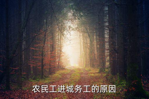 農(nóng)民工進城務(wù)工的原因