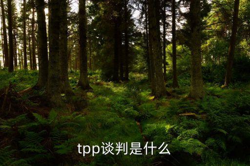 tpp談判是什么
