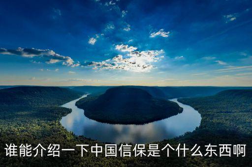 誰(shuí)能介紹一下中國(guó)信保是個(gè)什么東西啊