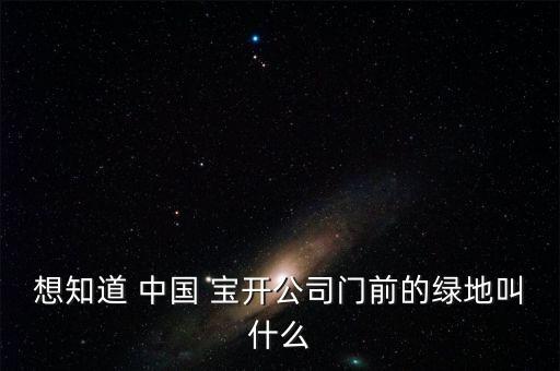 想知道 中國(guó) 寶開公司門前的綠地叫什么