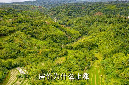 城市住房價(jià)格為什么上漲，房價(jià)上漲的原因