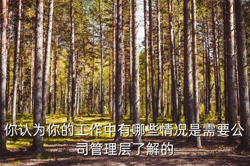 為什么公司要找管理層，你認為你的工作中有哪些情況是需要公司管理層了解的