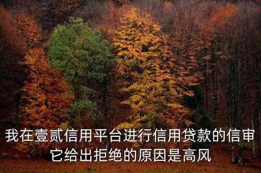 我在壹貳信用平臺進行信用貸款的信審它給出拒絕的原因是高風