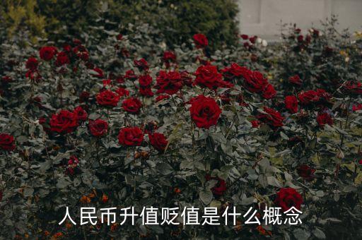 人民幣升值貶值是什么概念