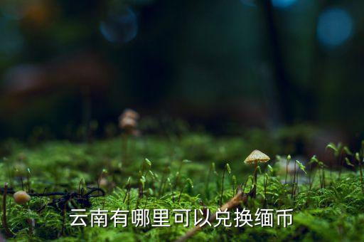 云南有哪里可以兌換緬幣